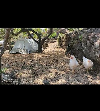 Tenda Etna Into The Wilde Montargano 外观 照片