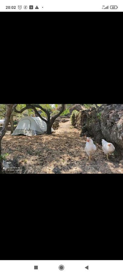Tenda Etna Into The Wilde Montargano 外观 照片